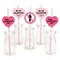Big Dot of Happiness Be My Galentine - Paper Straw Decor - Galentine's and Valentine's Day Party Striped Decorative Straws - Set of 24